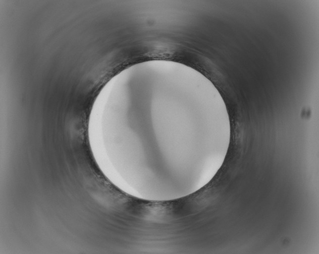 X0000110680370200907021916