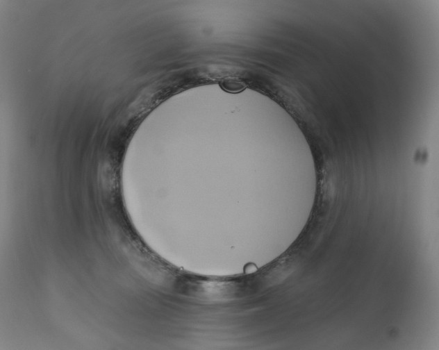 X0000110680371200907021916