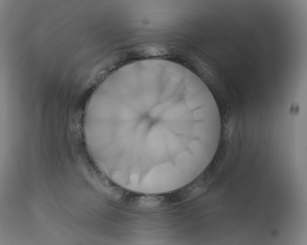 X0000110680373200907021916