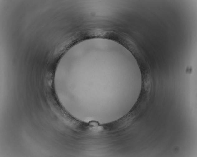 X0000110680374200907021916