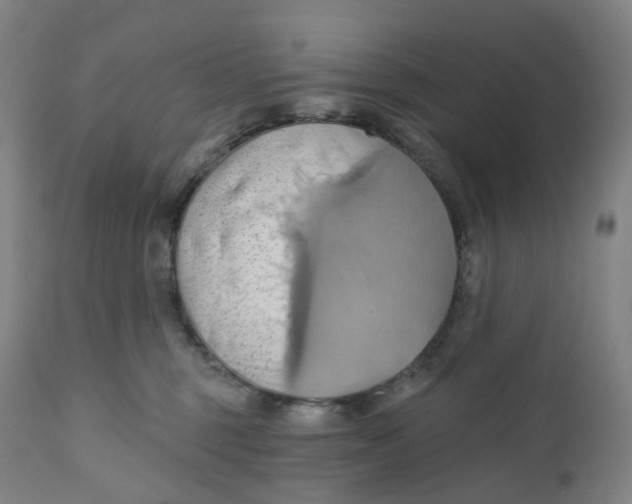 X0000110680375200907021916