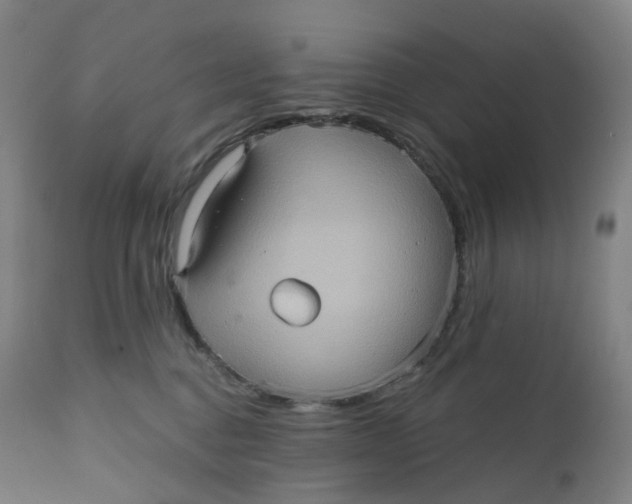 X0000110680376200907021916