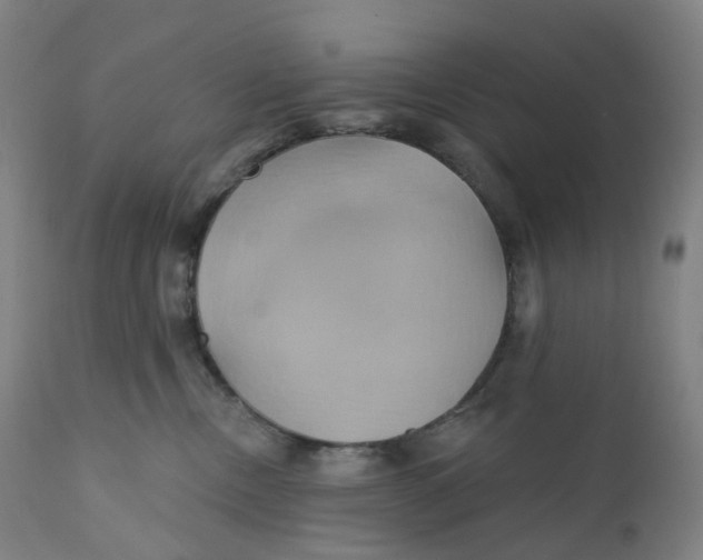 X0000110680378200907021916
