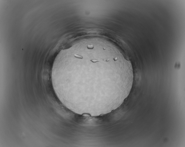 X0000110680379200907021916