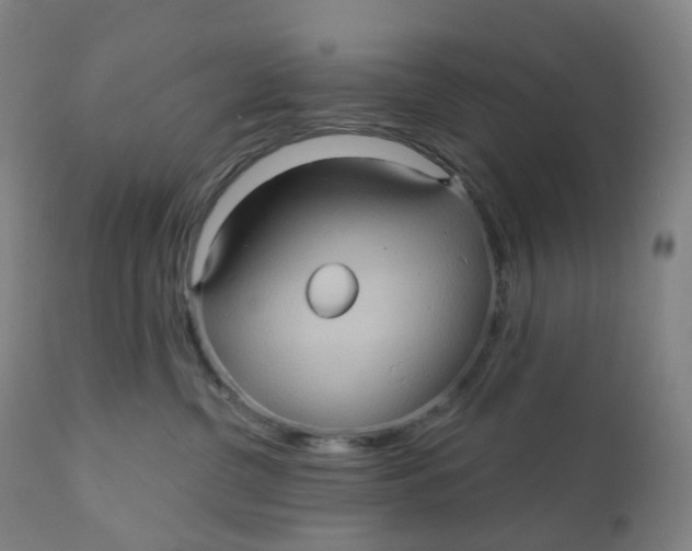 X0000110680380200907021916