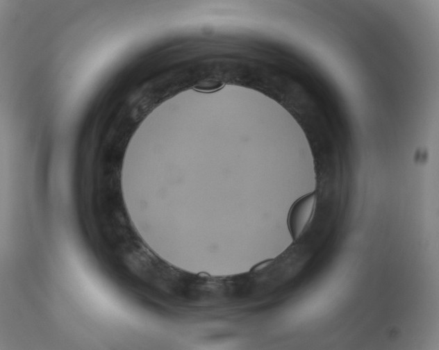X0000110680383200907021916