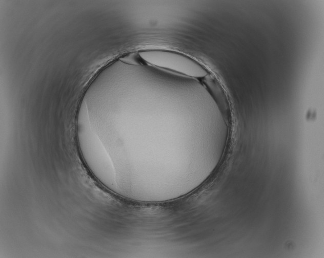 X0000110680385200907021915