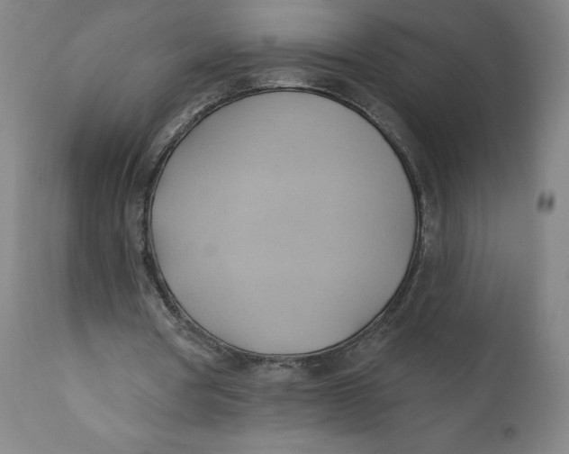 X0000110680386200907021915