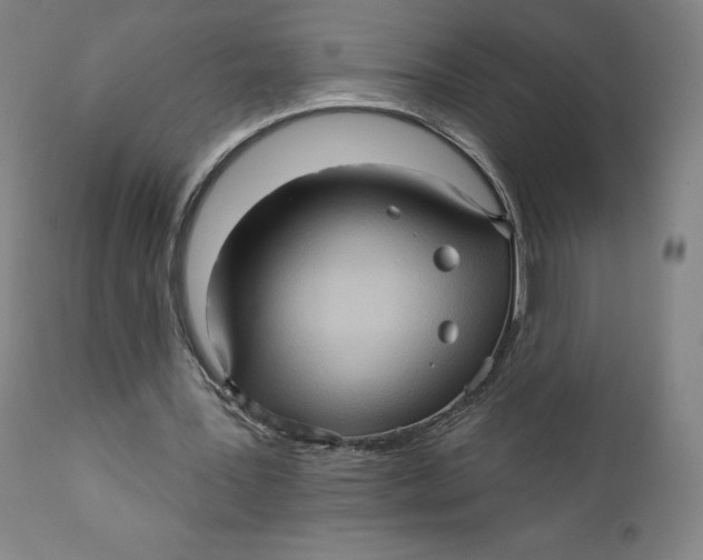 X0000110680387200907021915