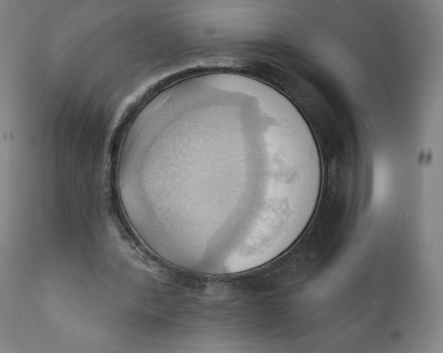 X0000110680388200907021915