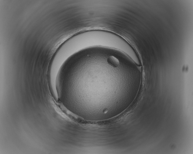 X0000110680389200907021915