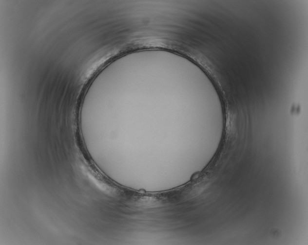 X0000110680390200907021915