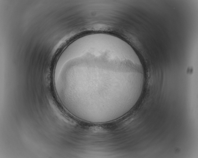 X0000110680392200907021915
