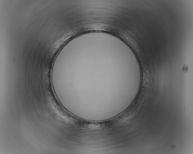 X0000110680394200907021915
