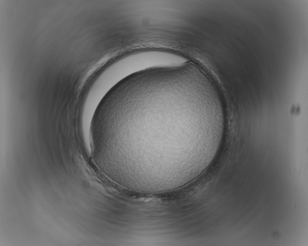 X0000110680395200907021915