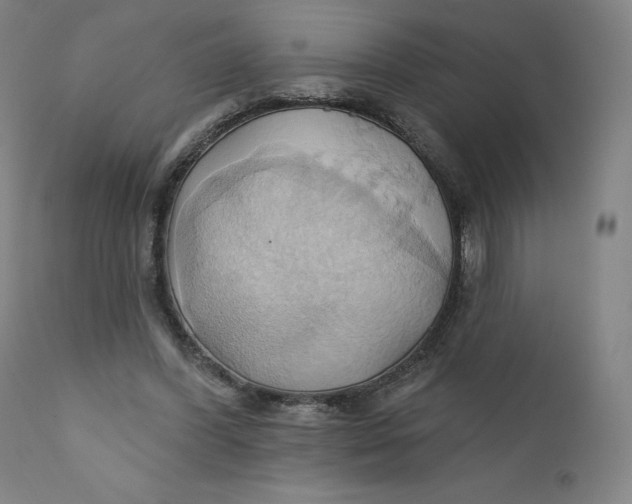 X0000110680396200907021915