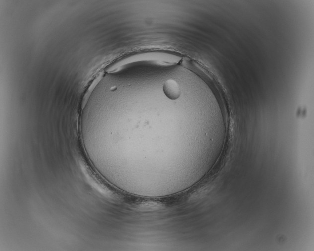 X0000110680397200907021915