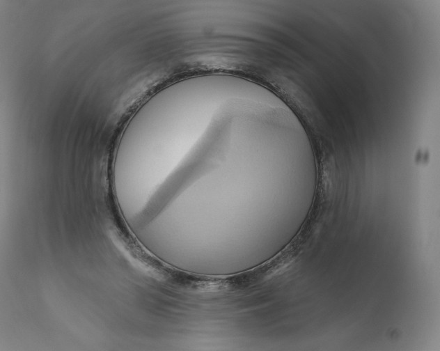 X0000110680398200907021915