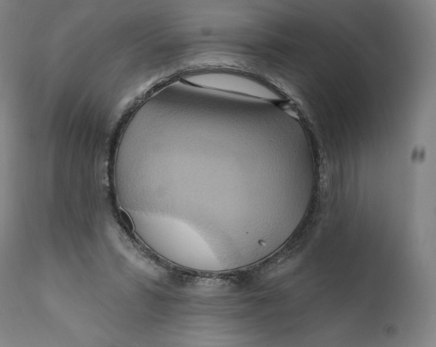 X0000110680399200907021915