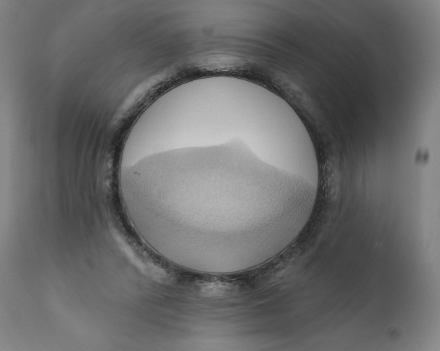 X0000110680400200907021915
