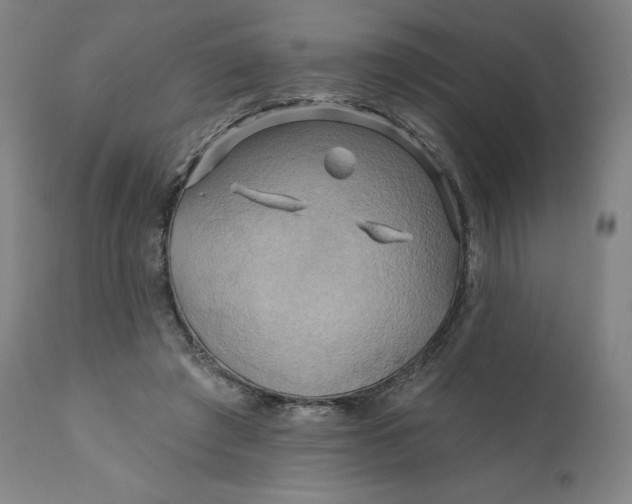 X0000110680401200907021915