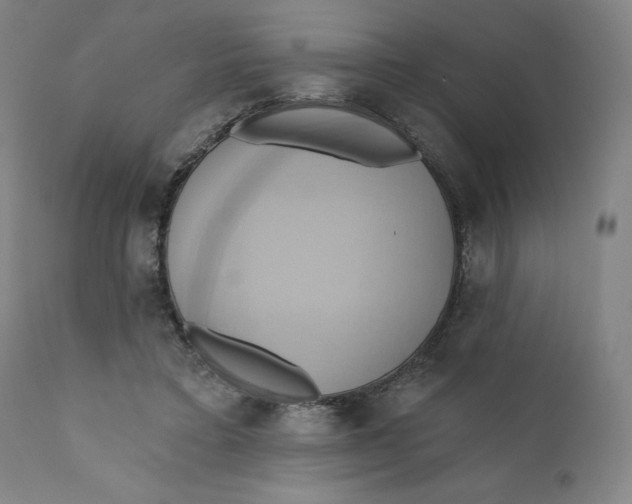 X0000110680403200907021915