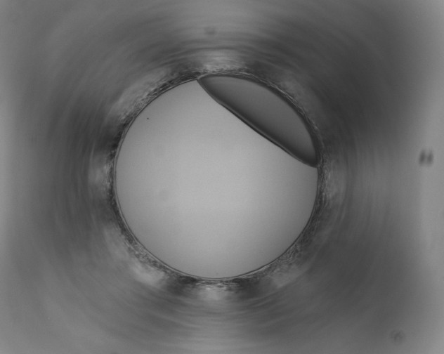 X0000110680405200907021915