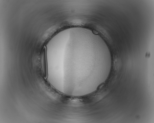 X0000110680407200907021915