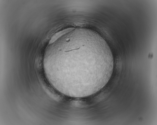 X0000110680408200907021915