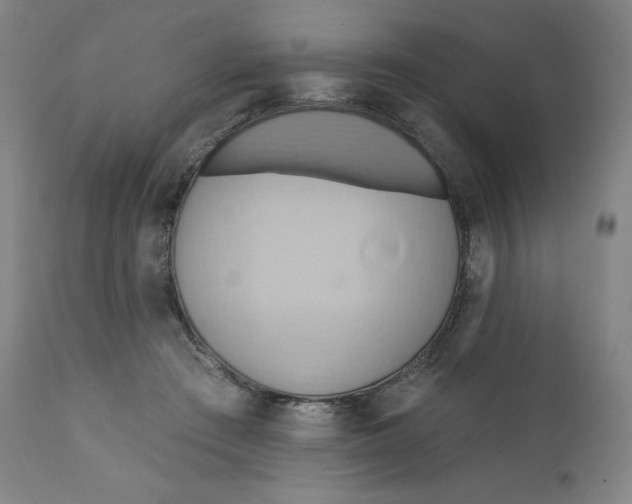 X0000110680409200907021915