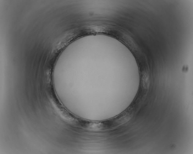 X0000110680410200907021915
