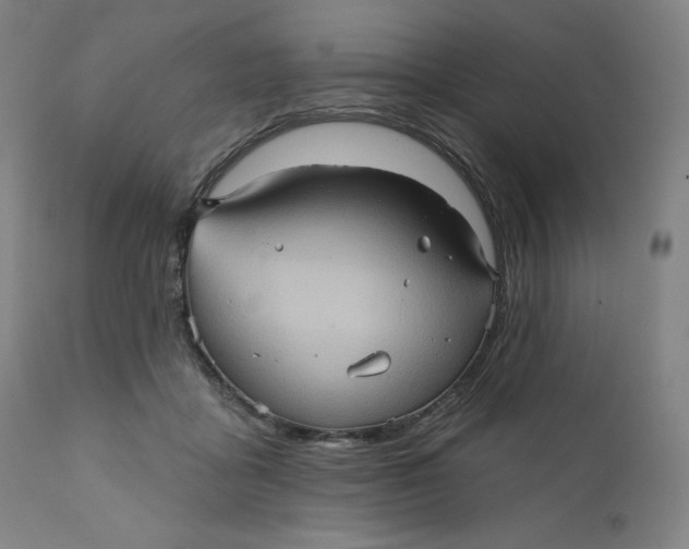 X0000110680411200907021915