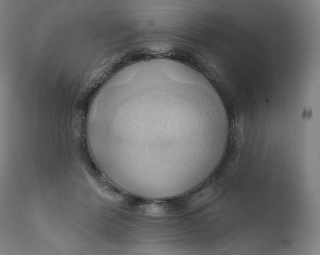 X0000110680412200907021915