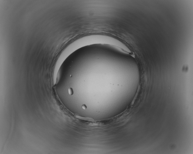 X0000110680415200907021915