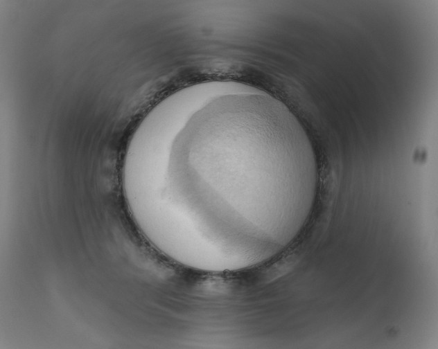 X0000110680416200907021915