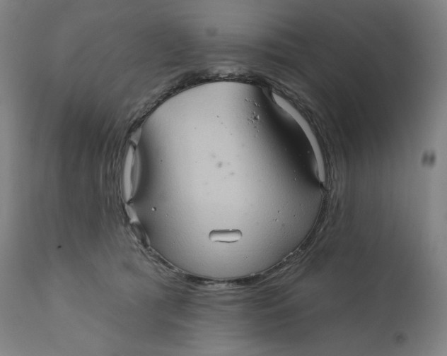 X0000110680417200907021915