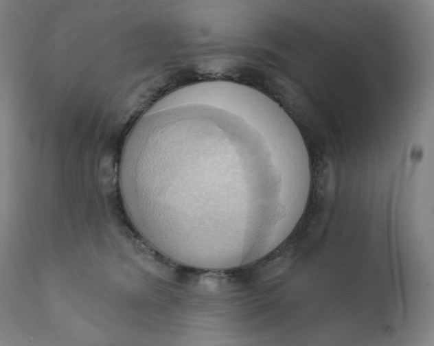 X0000110680420200907021915