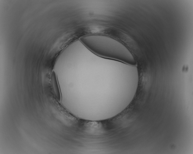 X0000110680421200907021915