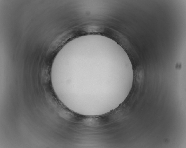 X0000110680422200907021915