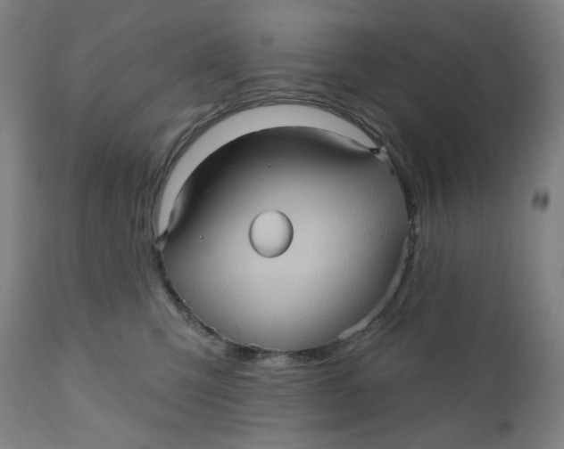 X0000110680423200907021915