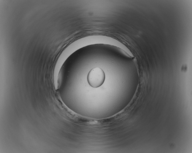 X0000110680425200907021915