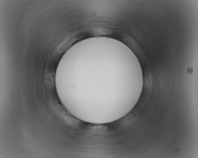 X0000110680426200907021915