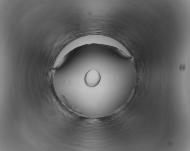 X0000110680427200907021915