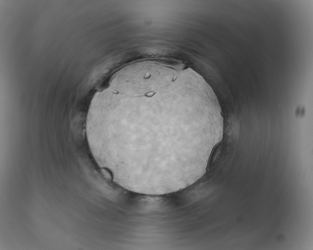 X0000110680428200907021915