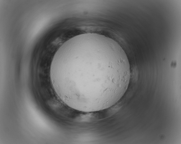 X0000110680430200907021915