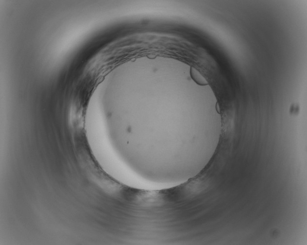 X0000110680431200907021915