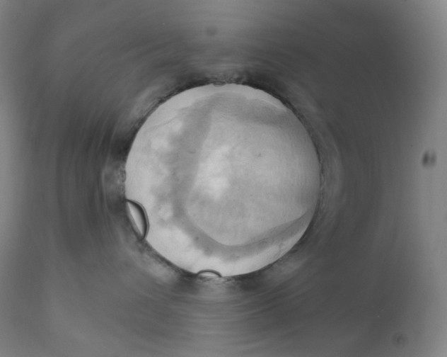 X0000110680432200907021915
