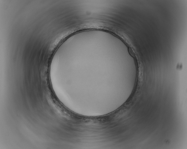 X0000110680434200907021914