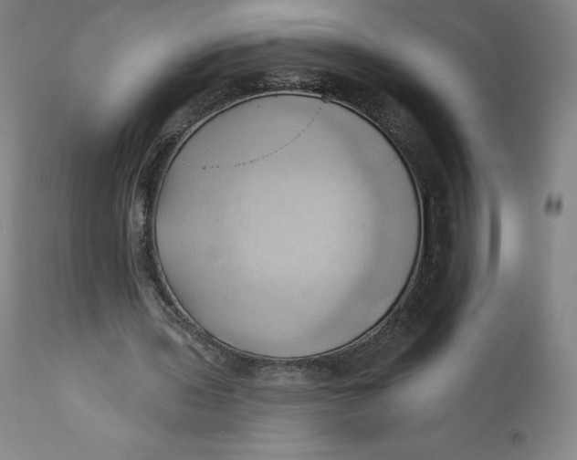 X0000110680435200907021914