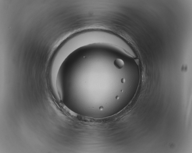 X0000110680436200907021914